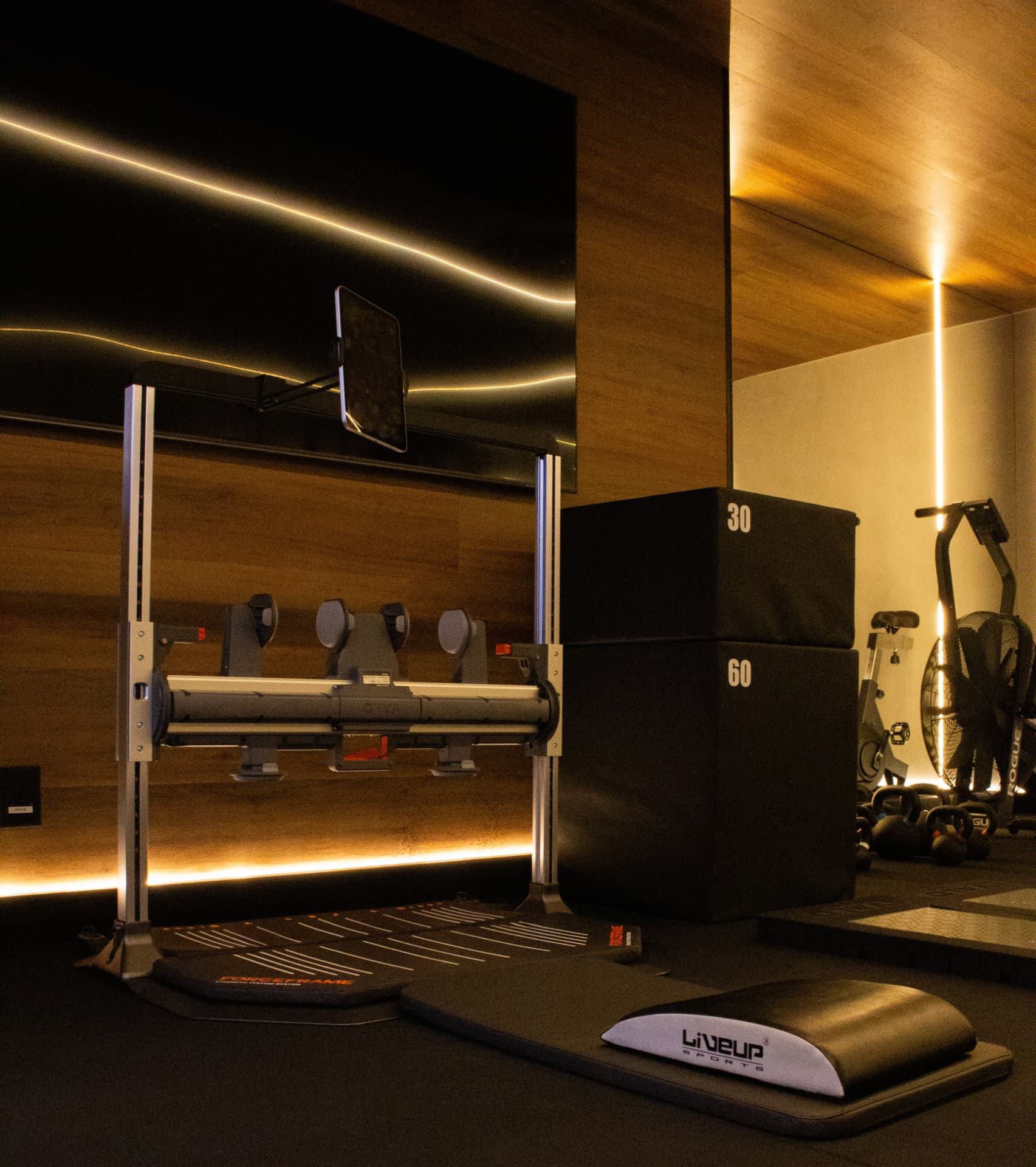 Studio de Performance com equipamento ForceFrame VALD