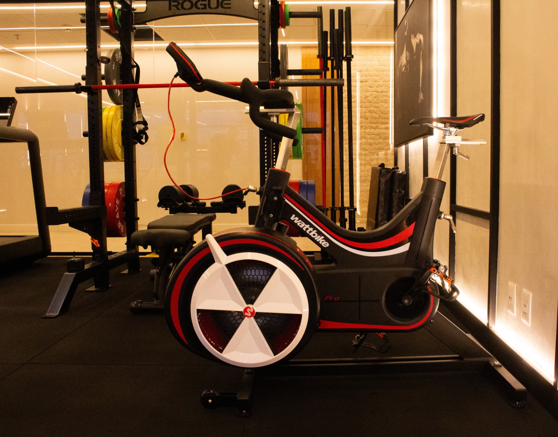Wattbike Pro para avaliação de potência em ciclismo